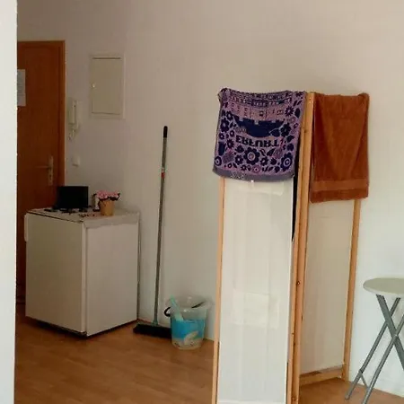 Forrest Apartments In Freiberg Min Stay 2 Nights Max Number Of Guest 1 Aprt 1 Exterior foto