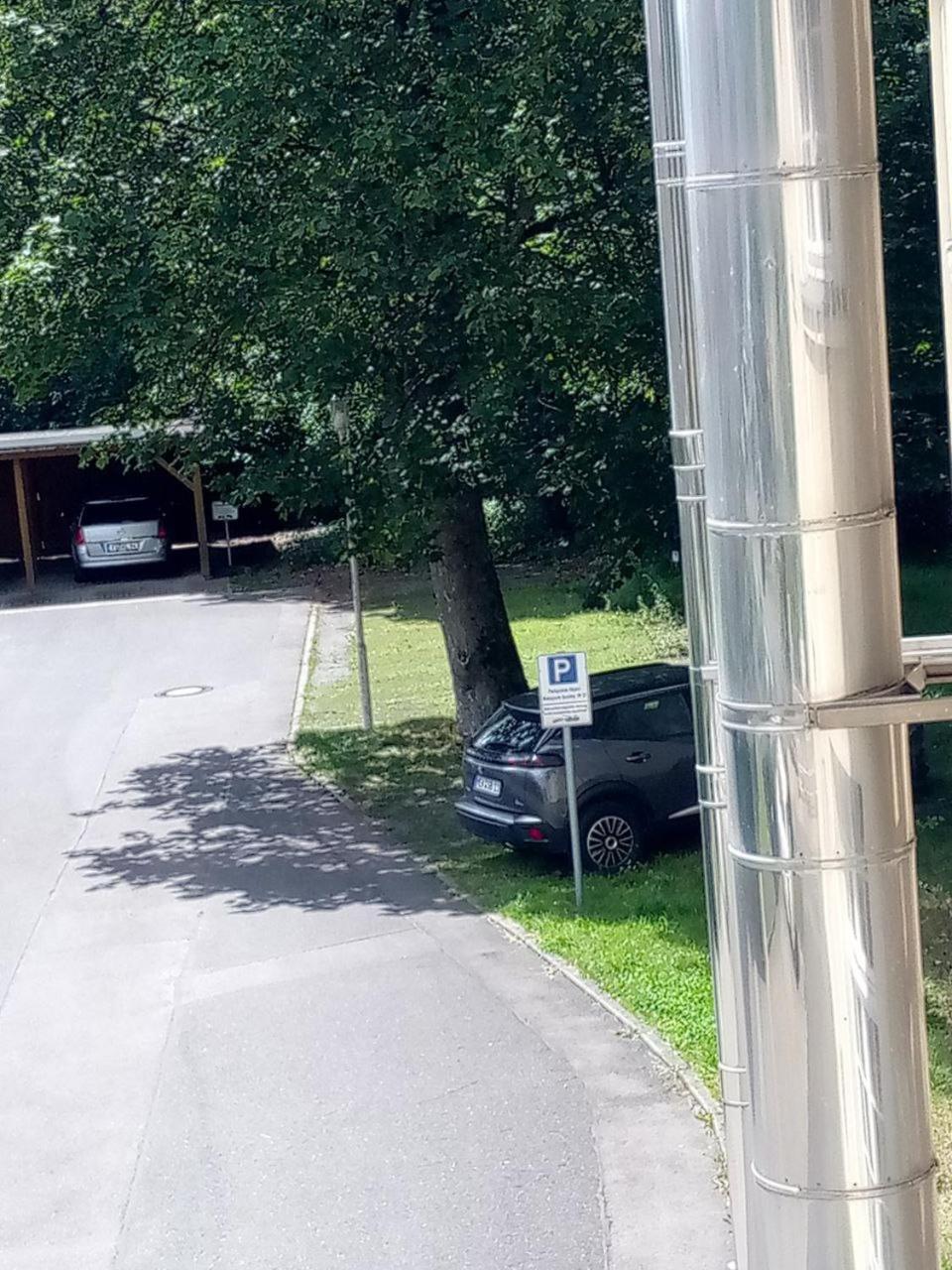 Forrest In Min 2 Nights Max Number Of Guest 1 Aprt 1 Apartment Freiberg